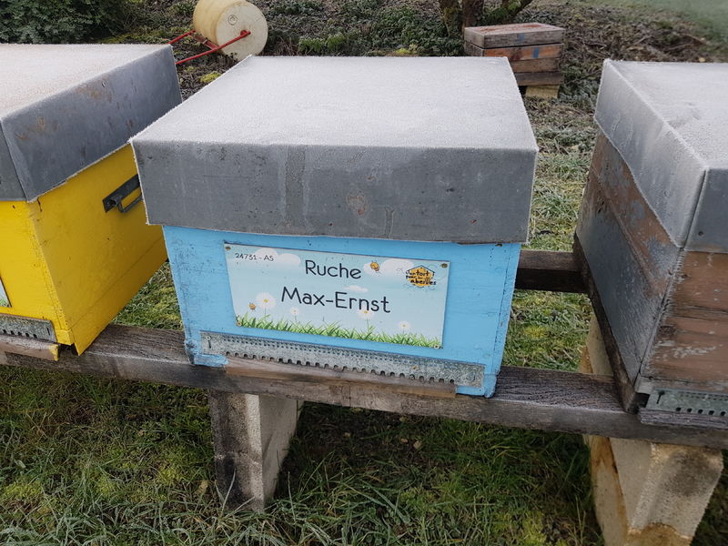 La ruche Max-Ernst