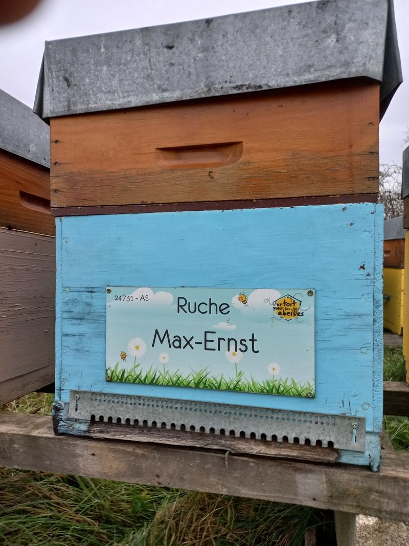 La ruche Max-Ernst