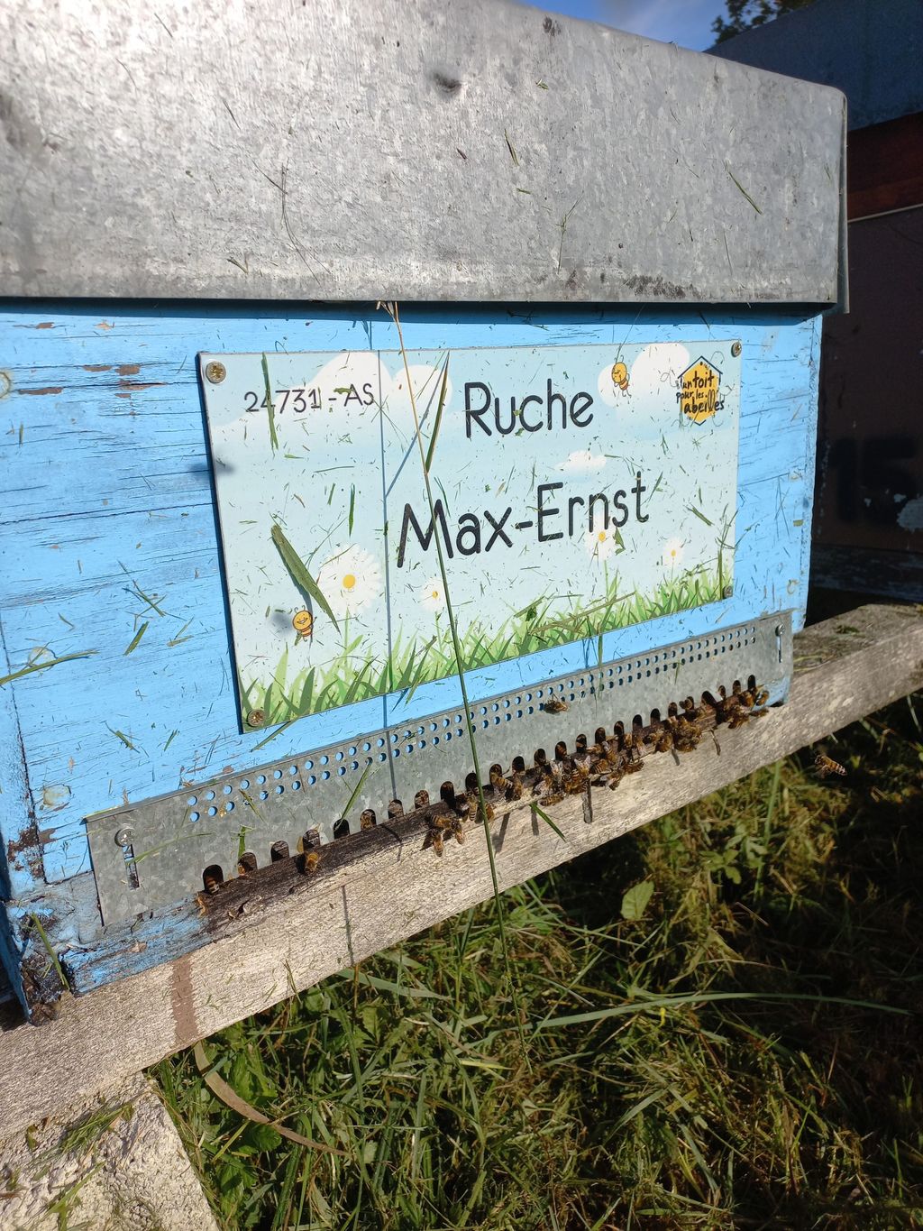 La ruche Max-Ernst