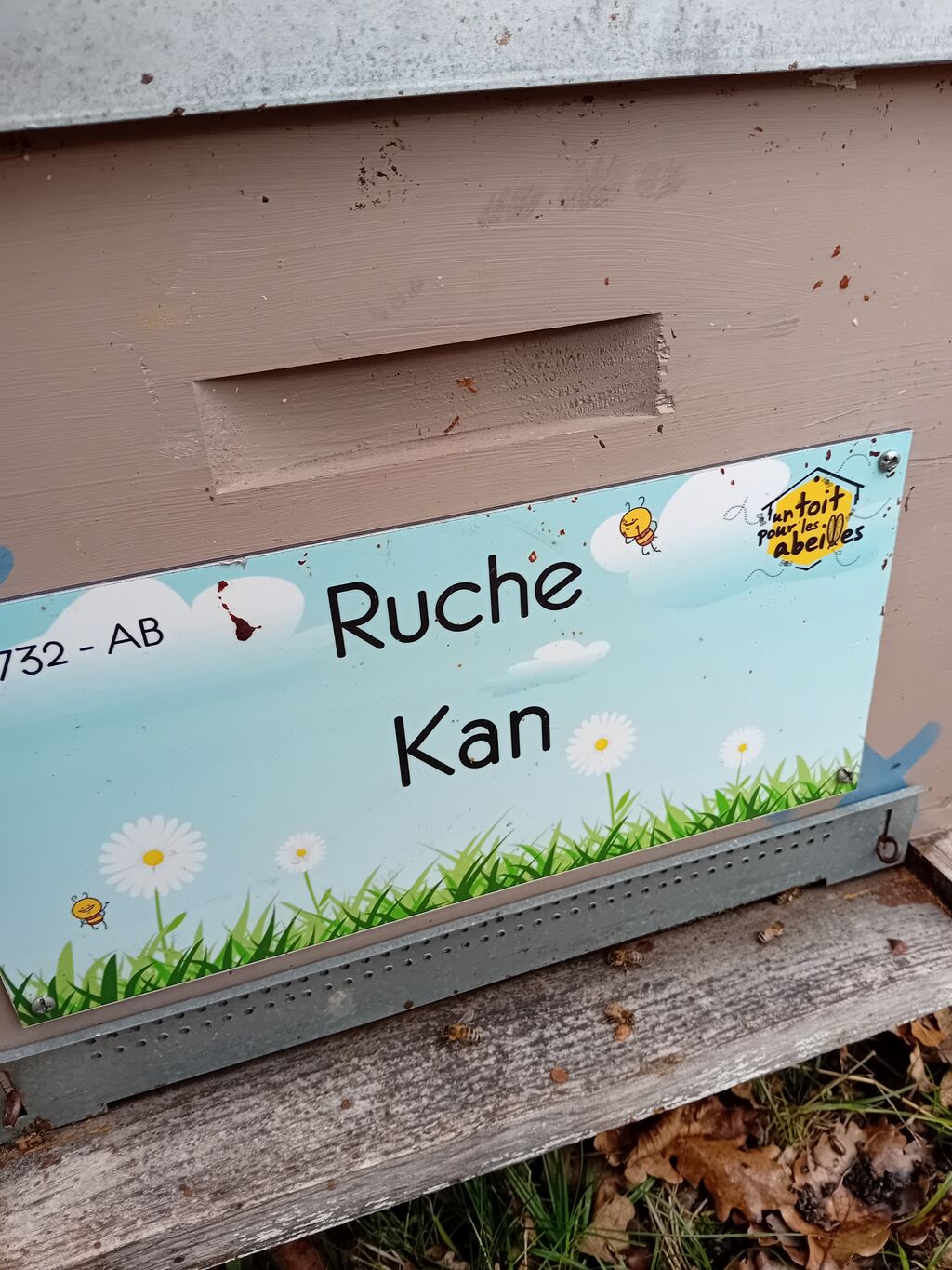 La ruche Kan