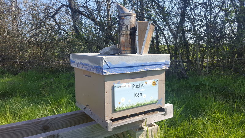 La ruche Kan