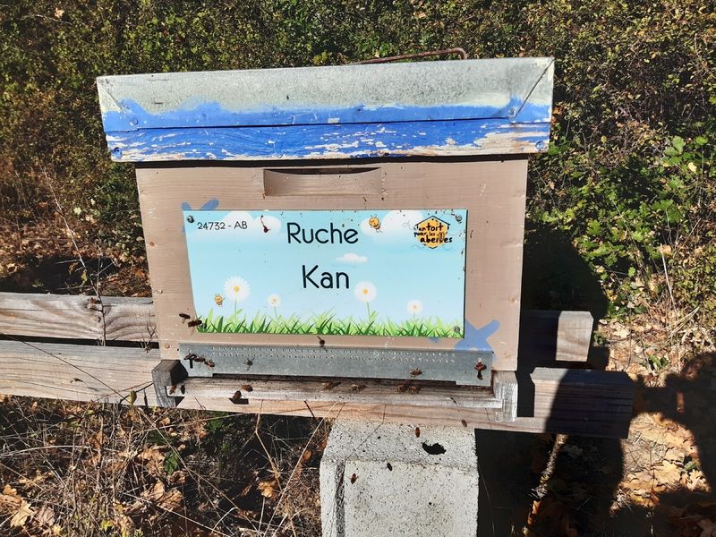 La ruche Kan