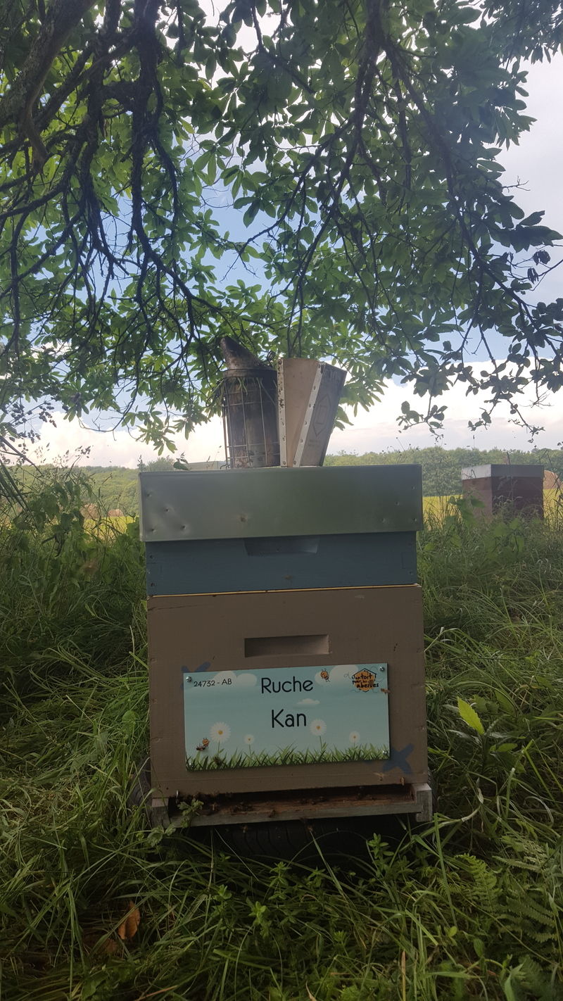 La ruche Kan