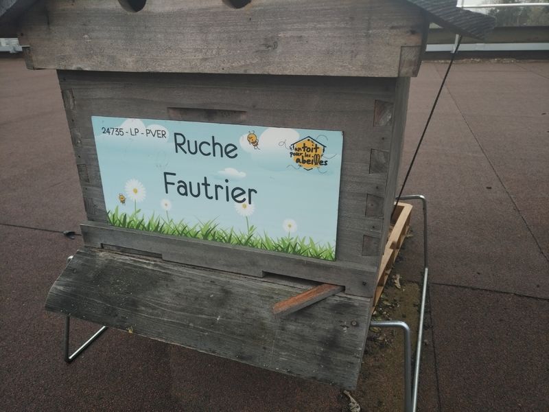 La ruche