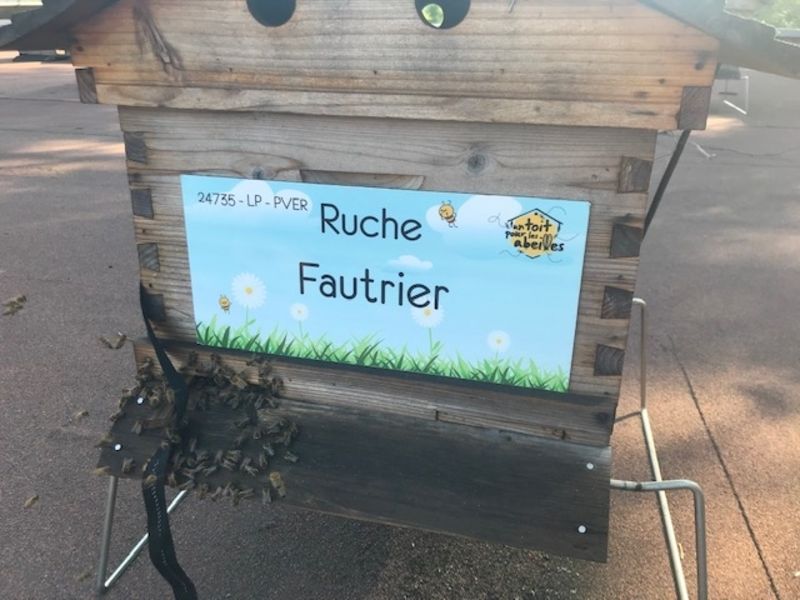 La ruche