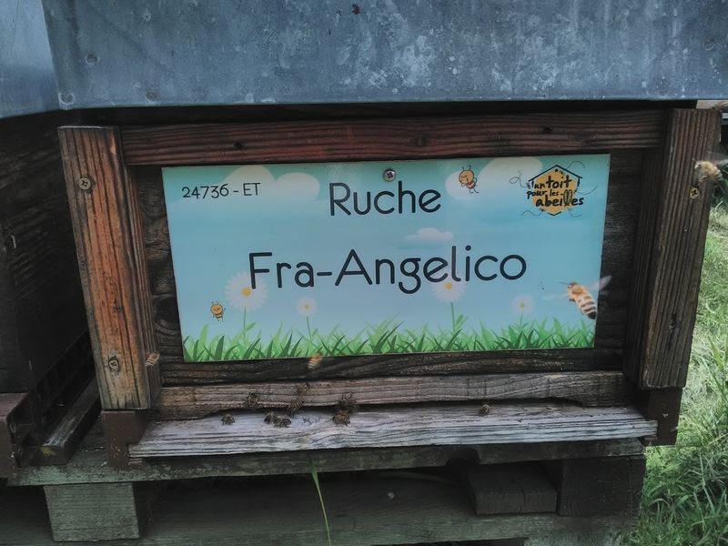 La ruche Fra-Angelico