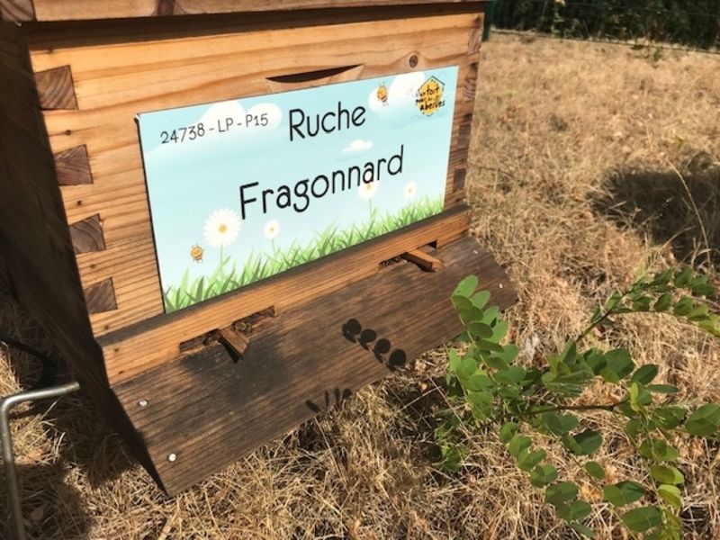 La ruche