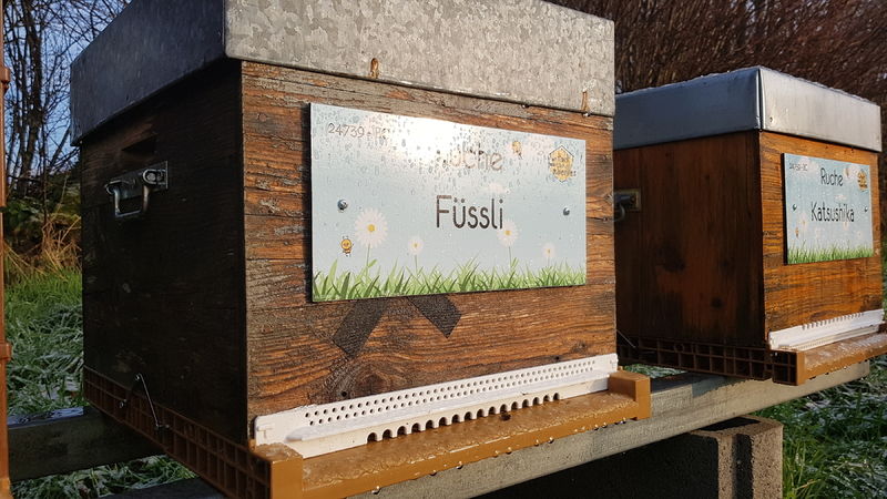La ruche Füssli