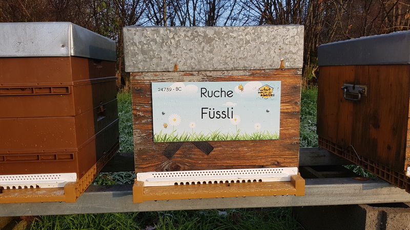 La ruche Füssli