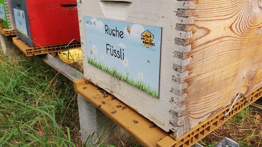 La ruche Füssli
