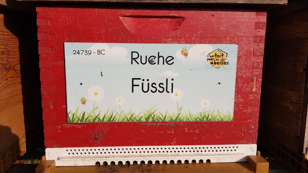 La ruche Füssli