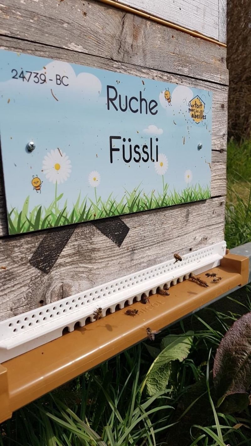 La ruche Füssli