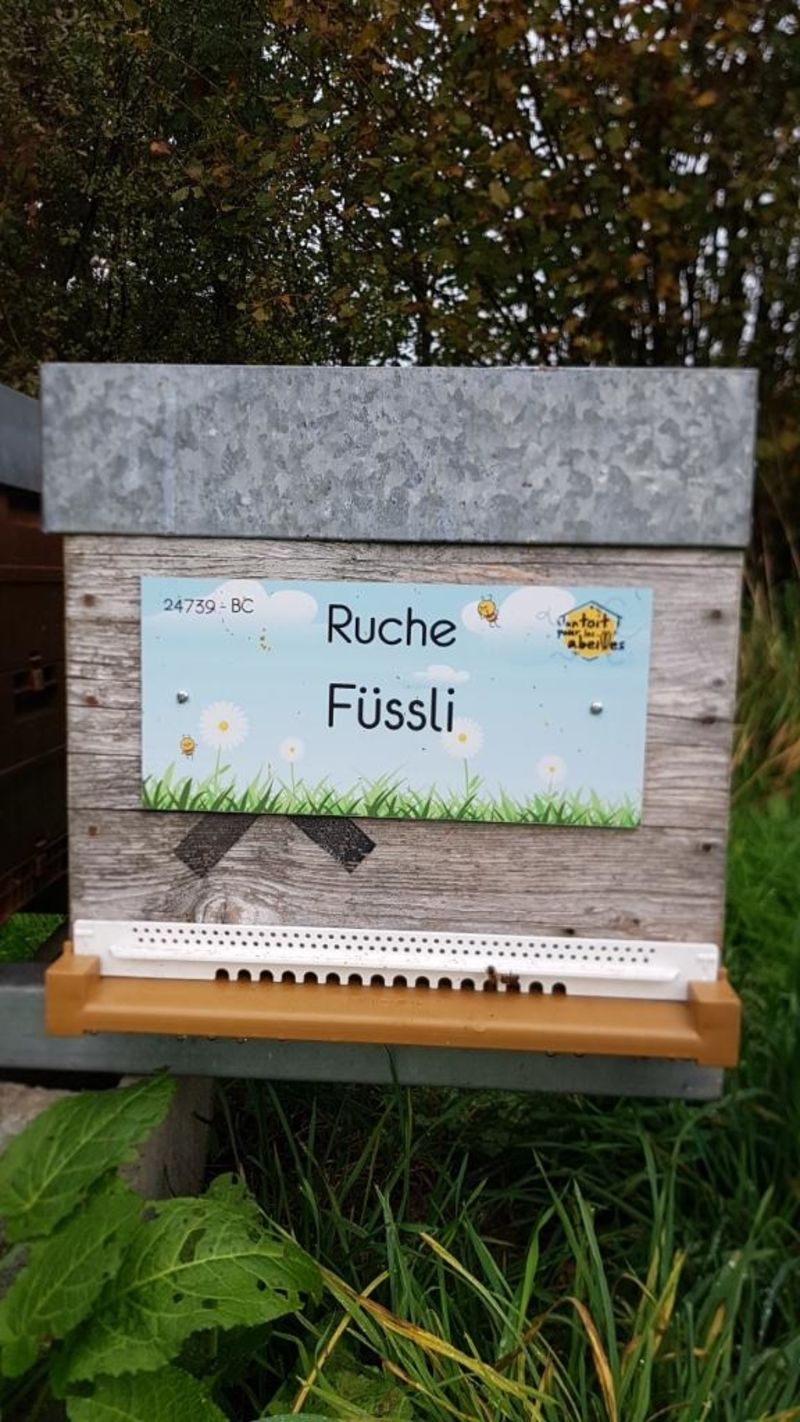 La ruche Füssli