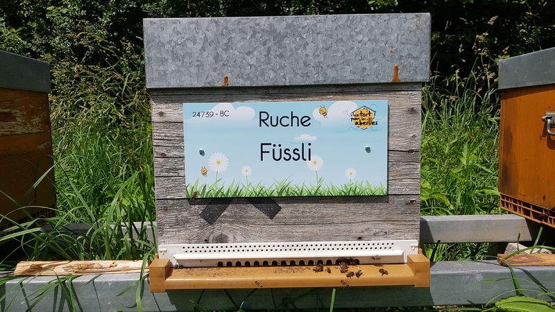 La ruche Füssli