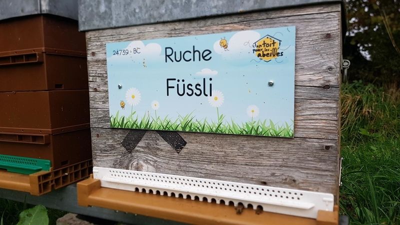 La ruche Füssli