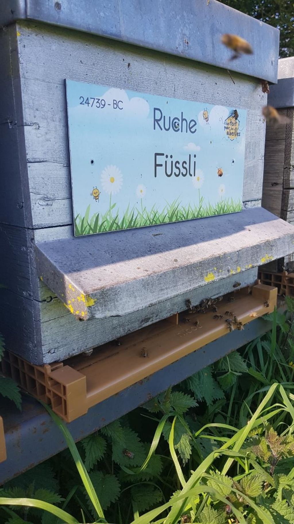 La ruche Füssli