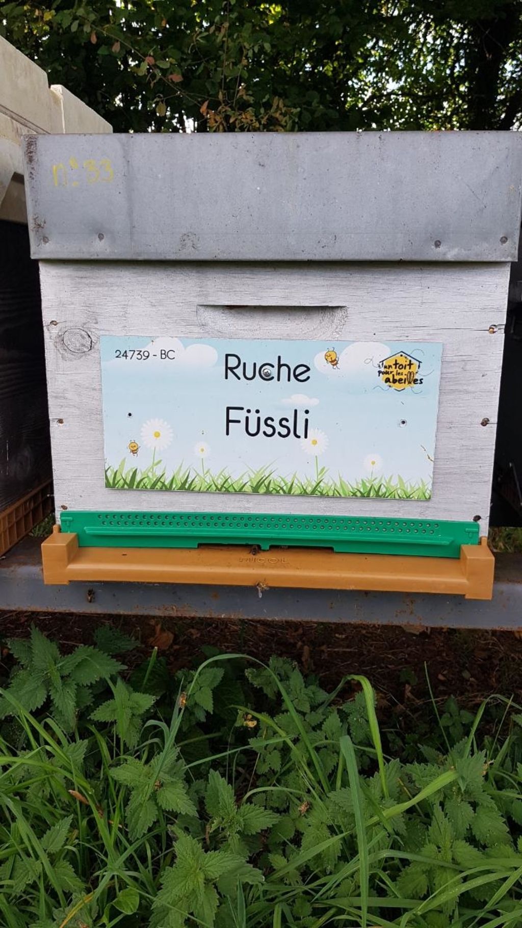 La ruche Füssli