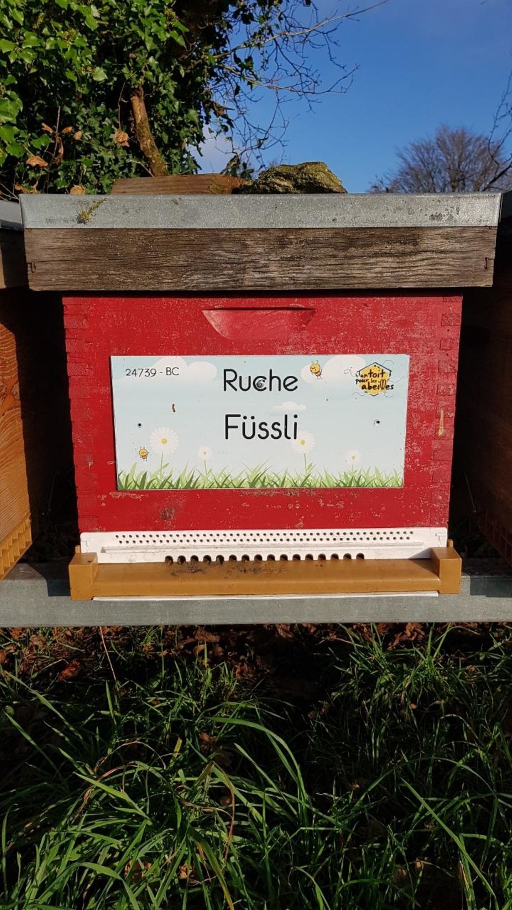 La ruche Füssli