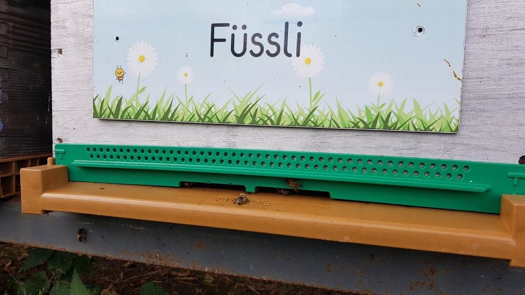 La ruche Füssli