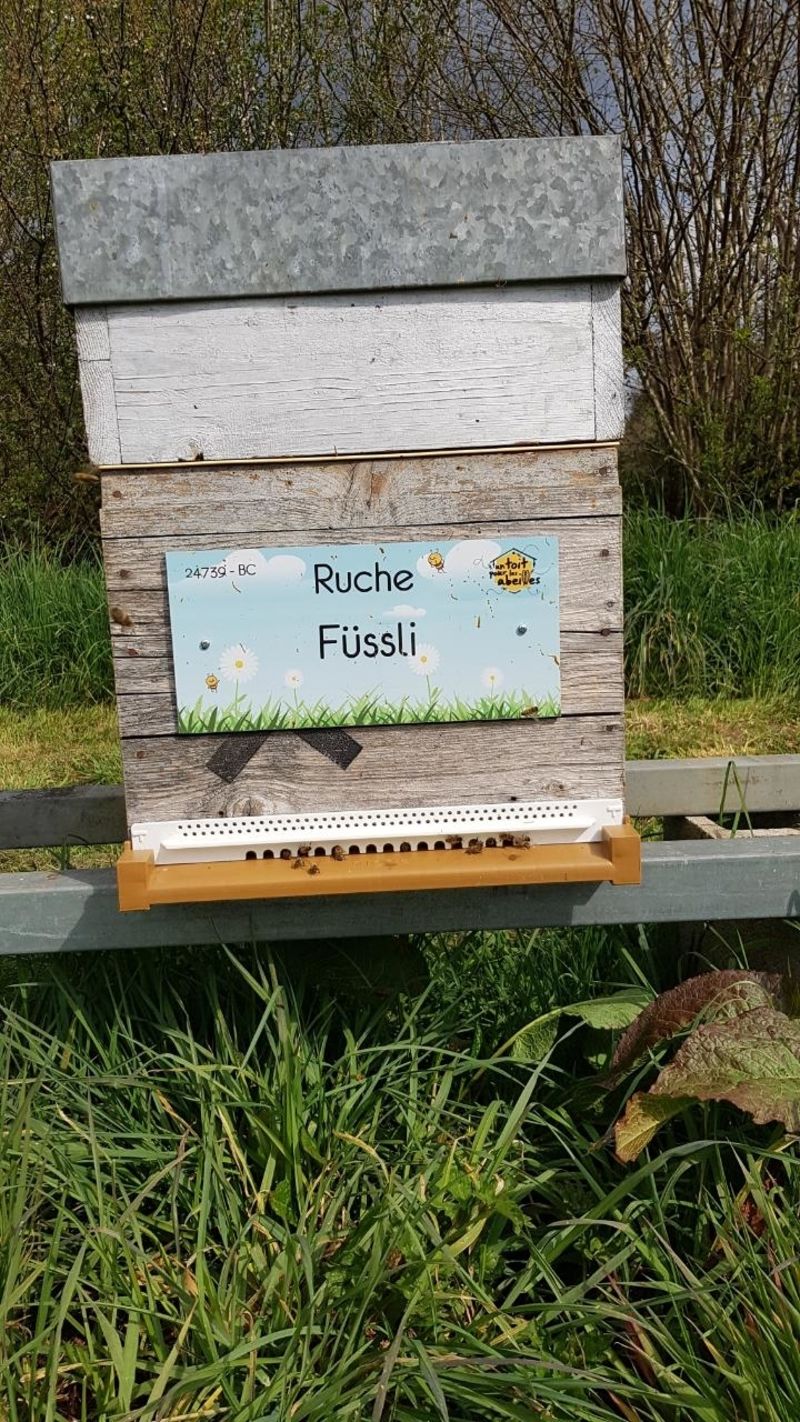 La ruche Füssli