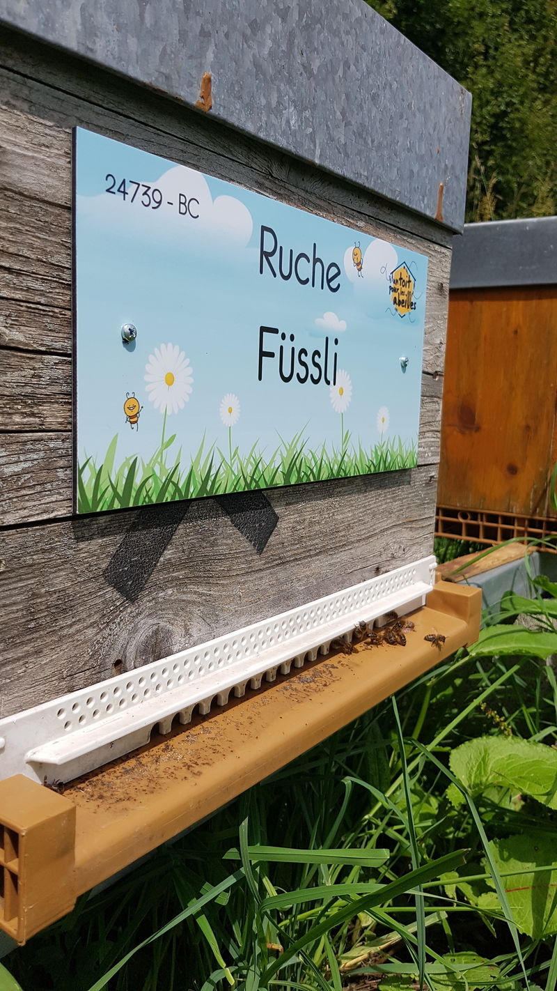 La ruche Füssli
