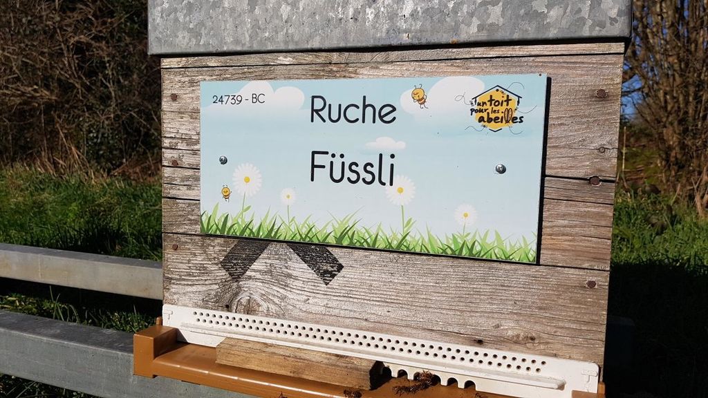 La ruche Füssli