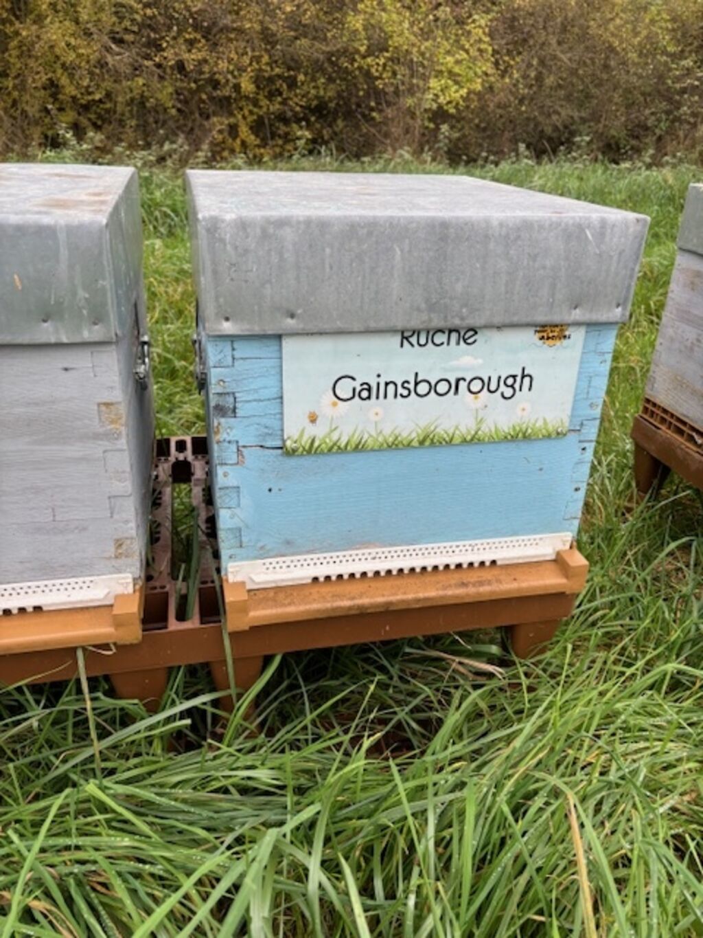 La ruche Gainsborough