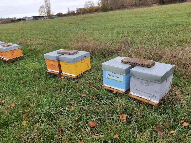 La ruche Gainsborough