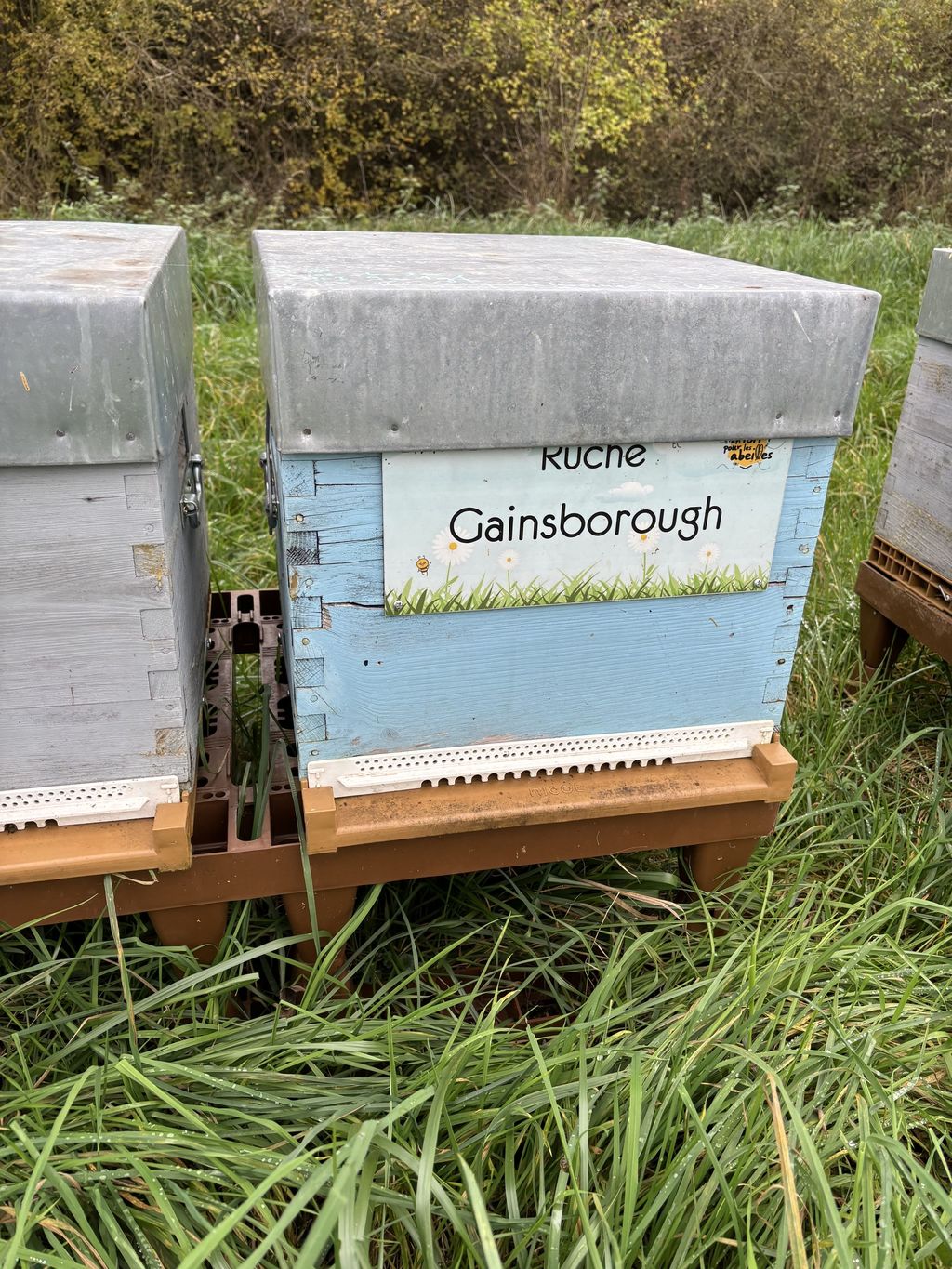 La ruche Gainsborough