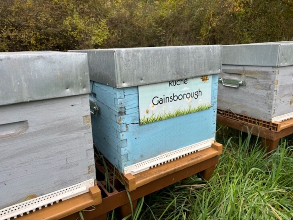 La ruche Gainsborough