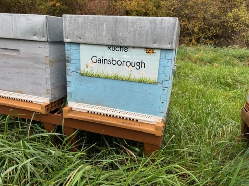 La ruche Gainsborough