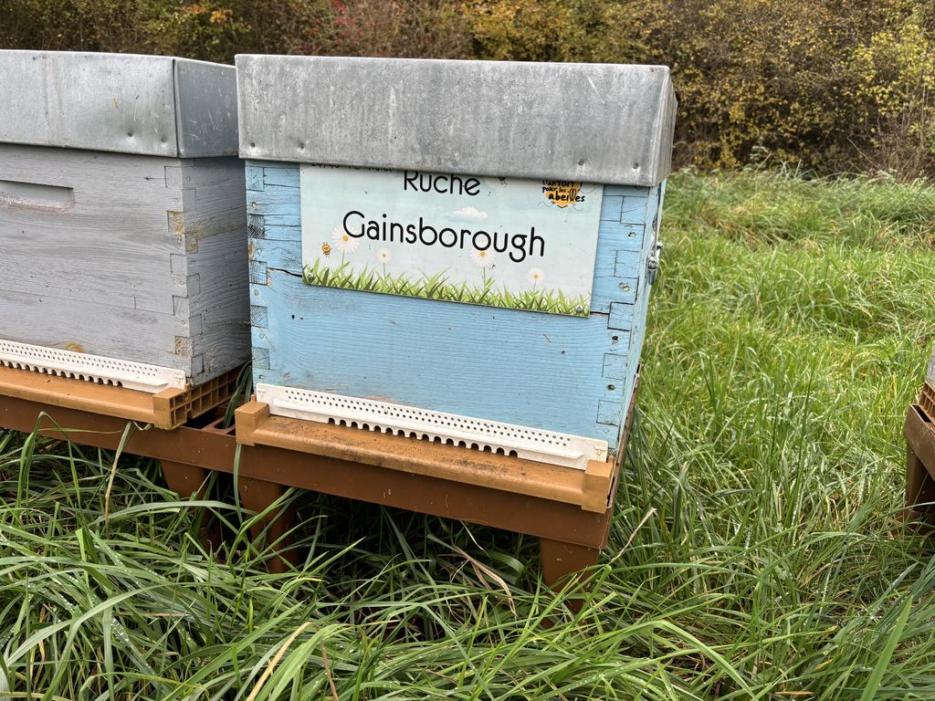 La ruche Gainsborough