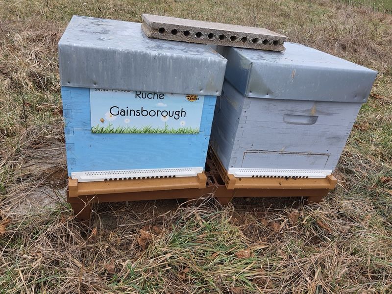 La ruche Gainsborough