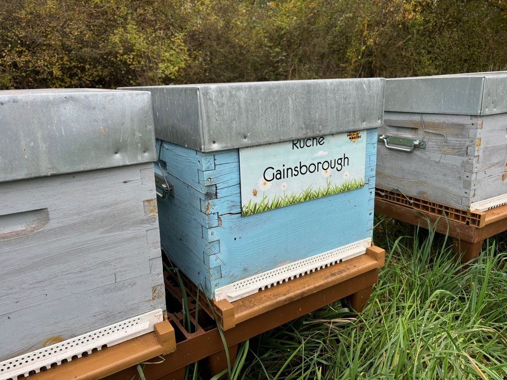 La ruche Gainsborough