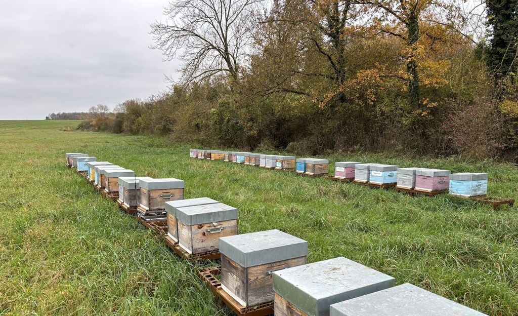 La ruche Gainsborough