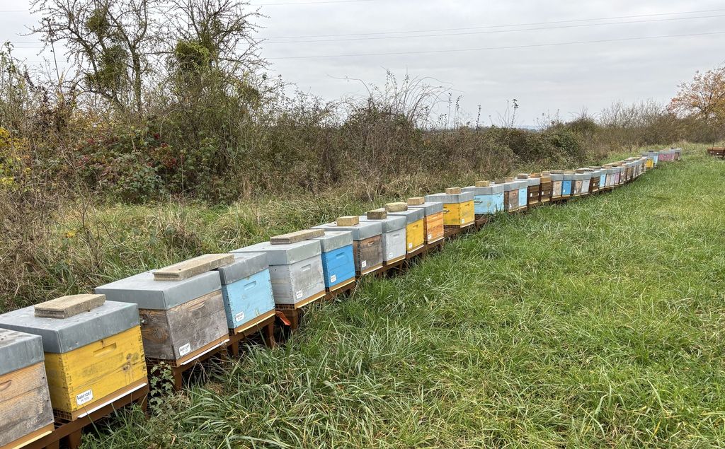 La ruche Gainsborough