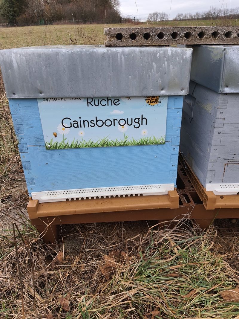 La ruche Gainsborough