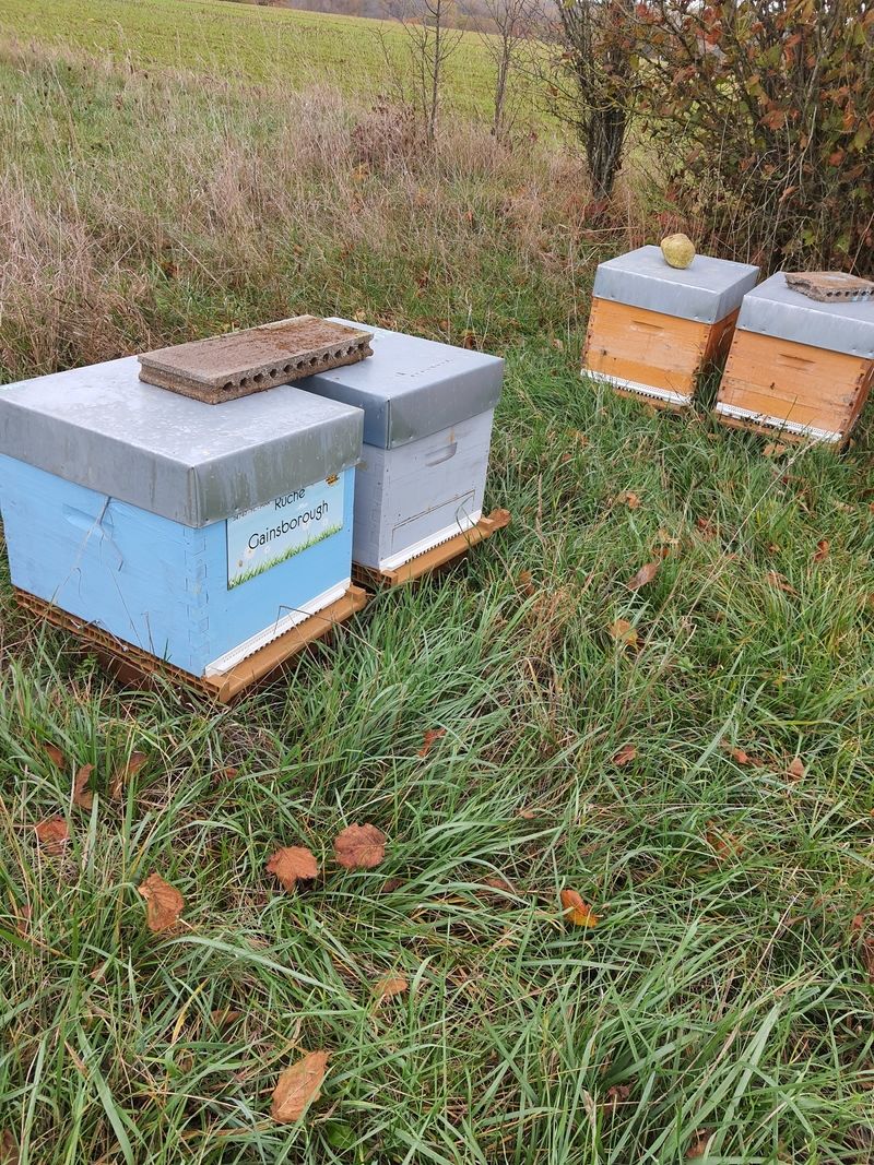 La ruche Gainsborough