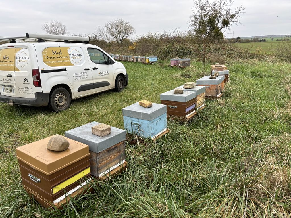 La ruche Gainsborough