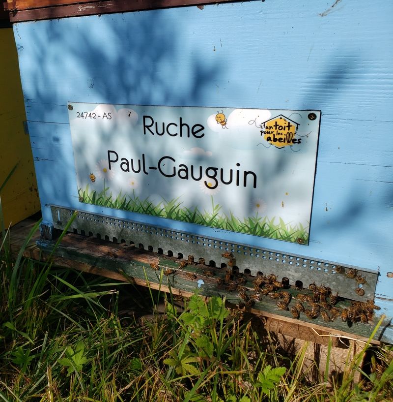 La ruche Paul-Gauguin