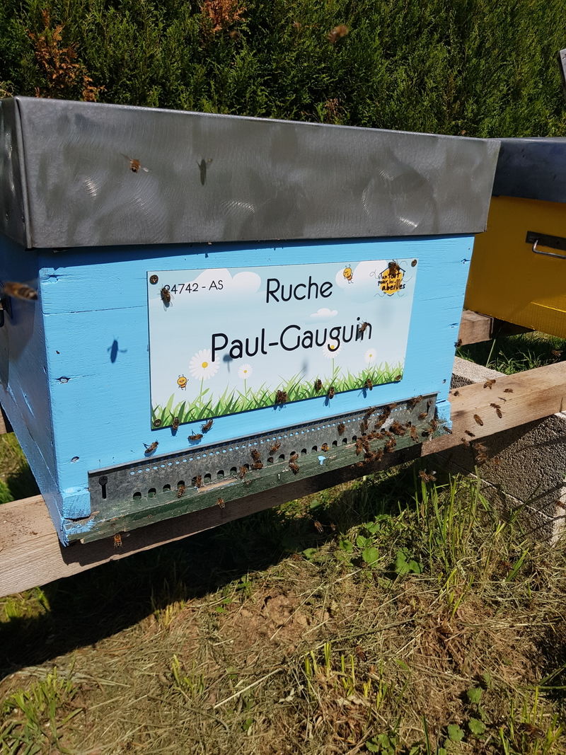 La ruche Paul-Gauguin