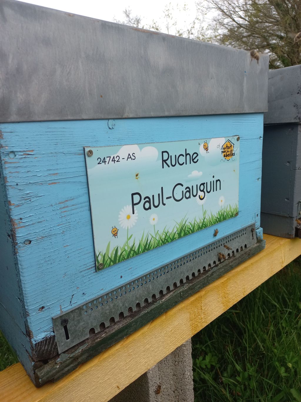 La ruche Paul-Gauguin