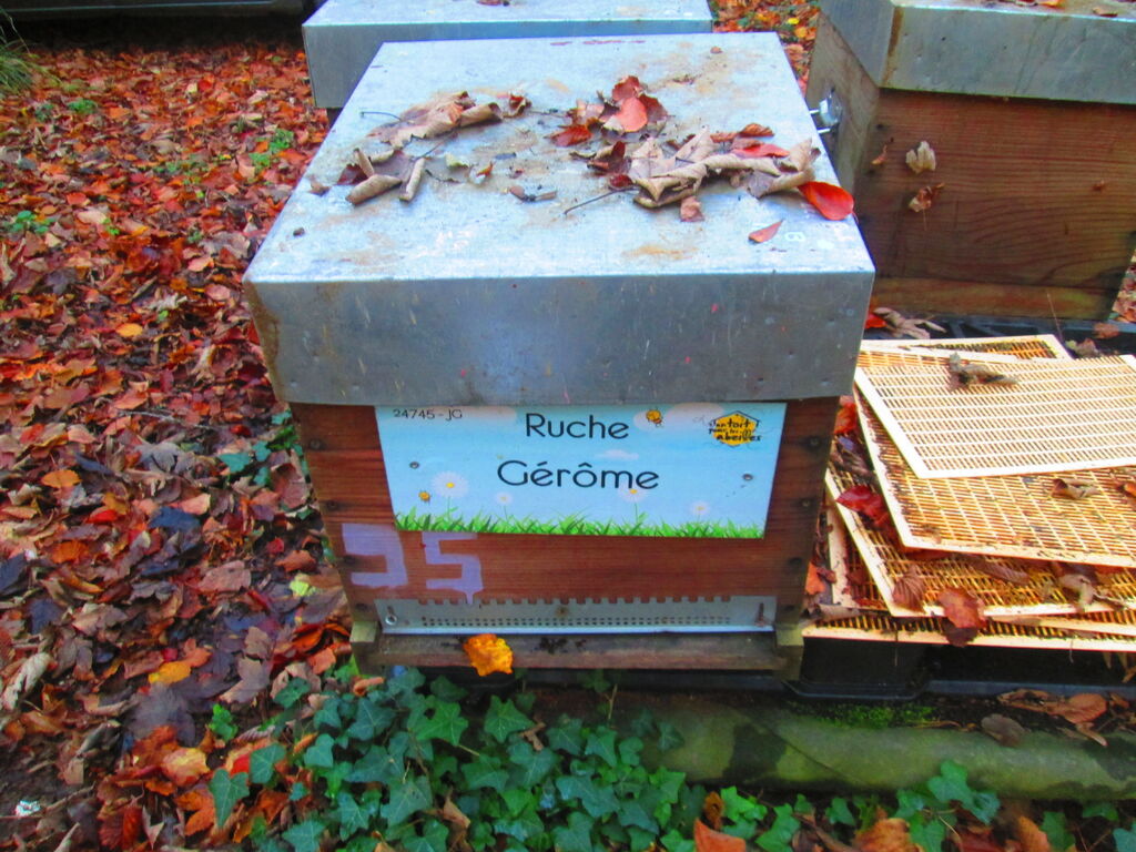 La ruche Gérôme