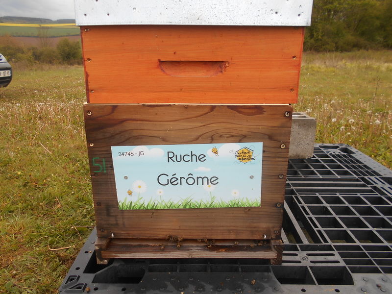 La ruche Gérôme