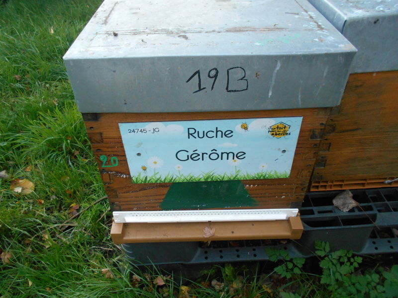 La ruche Gérôme