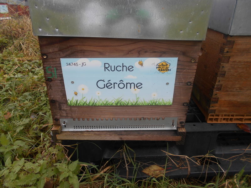 La ruche Gérôme