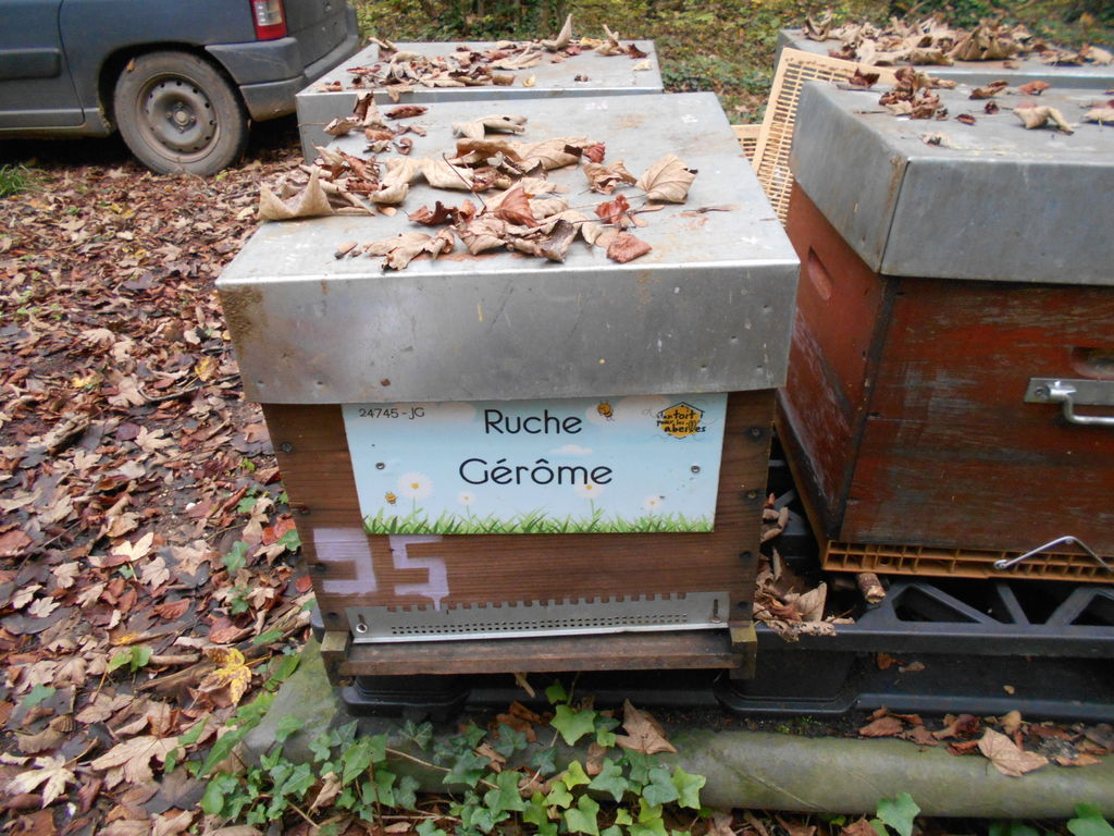 La ruche Gérôme