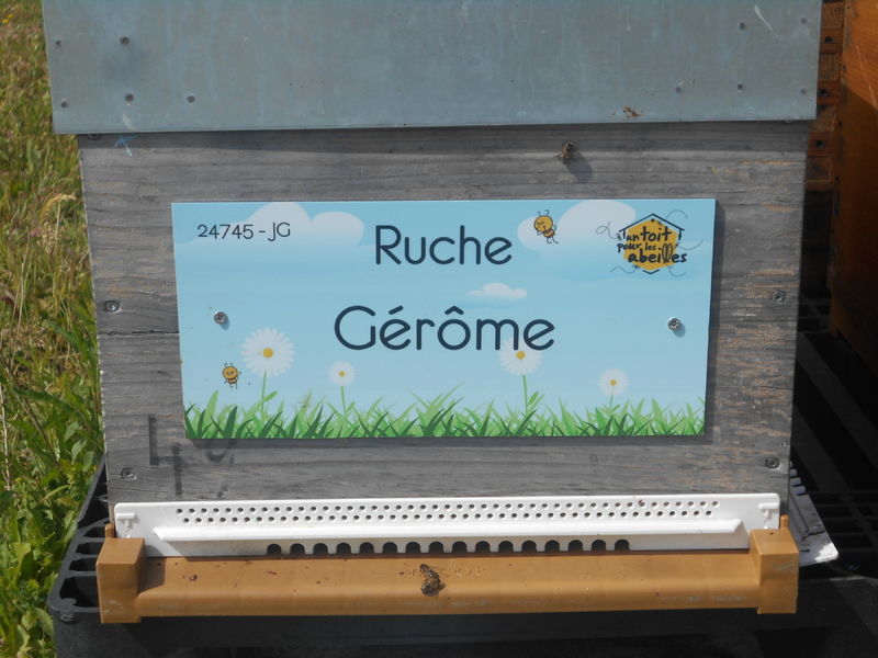 La ruche Gérôme