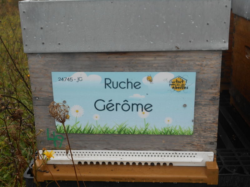 La ruche Gérôme