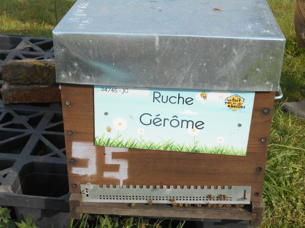 La ruche Gérôme